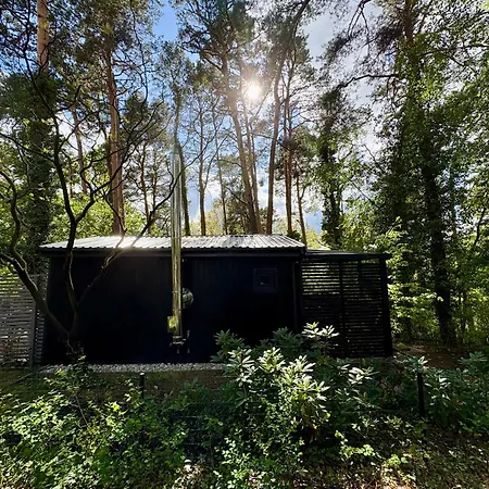 Waldhaus Am Hang Im Schlaubetal Grunow-Dammendorf